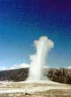 Old Faithful