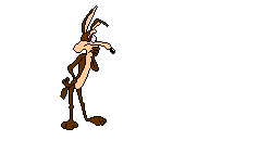 Wile E. Coyote he never gives up!