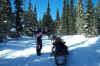 snowmobile expedition to Yellowstone National Park