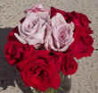09-04-2002 the bouquet 