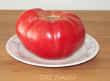 09-12-2002 TOMATO.jpg (18601 bytes)